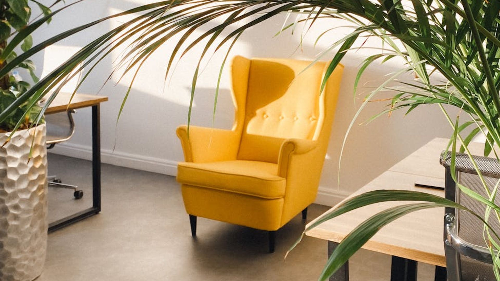 Calm and spacious room for practice with soft natural light.